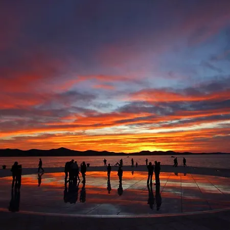 Luci Ζαντάρ